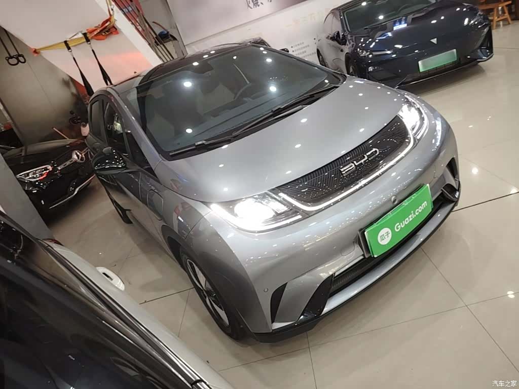 BYD Dolphin, 2024 4