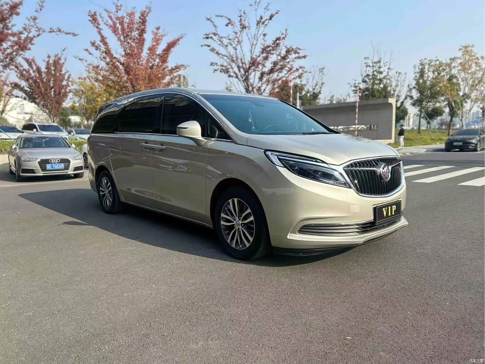 Buick GL8, 2019 13