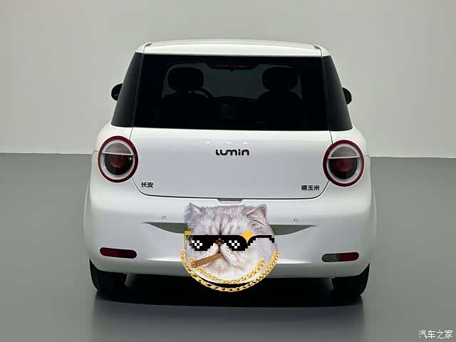 Changan Lumin, 2025 16