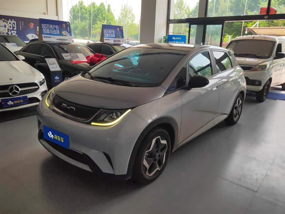BYD Dolphin