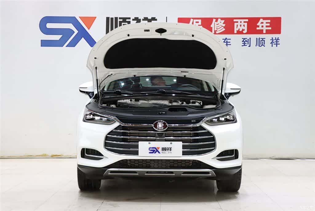 BYD Tang, 2019 19