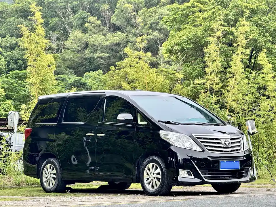 Toyota Elfa