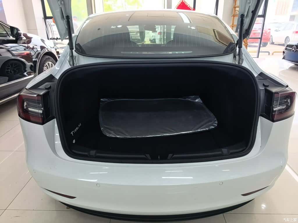 Tesla Model 3, 2020 19