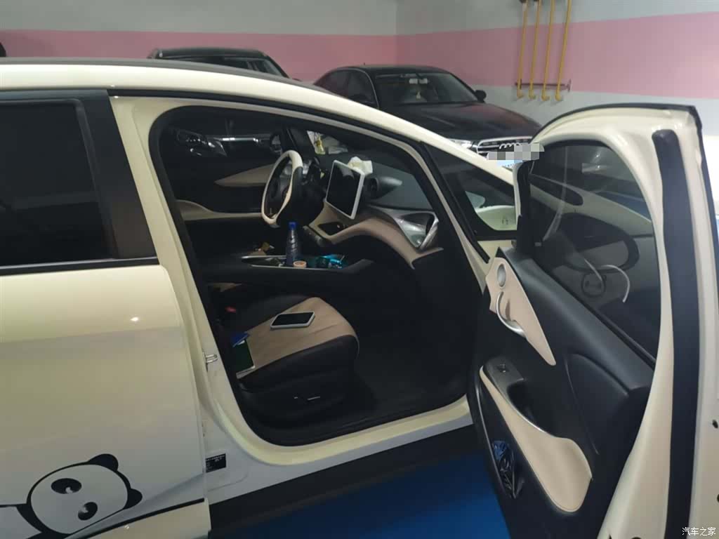 BYD Dolphin, 2024 20
