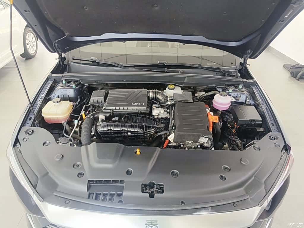 BYD Qin, 2024 20