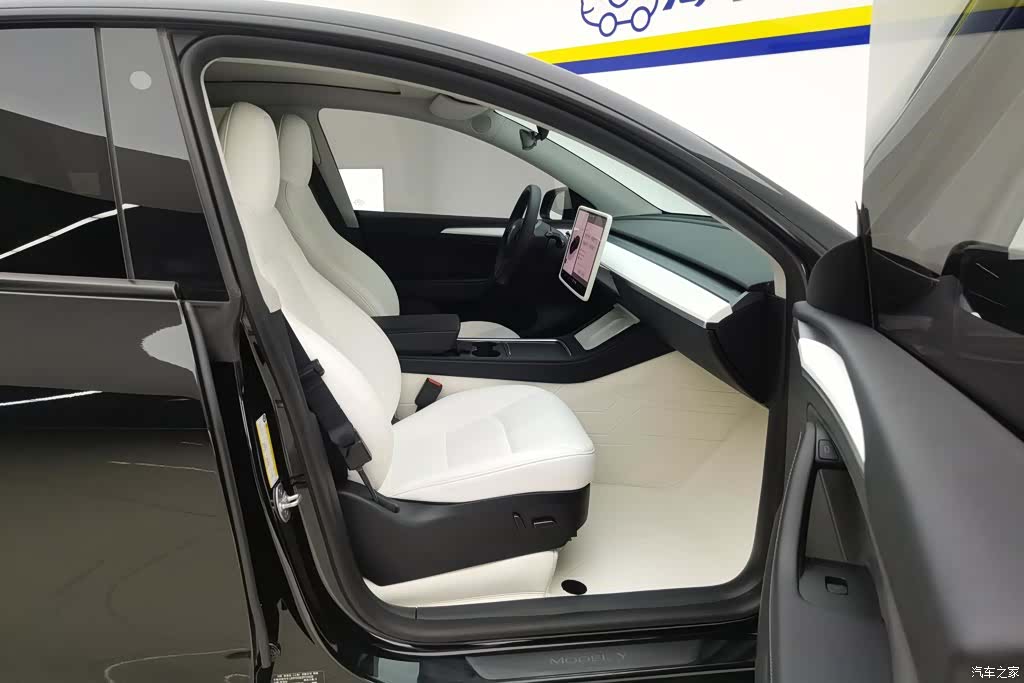 Tesla Model Y, 2023 8