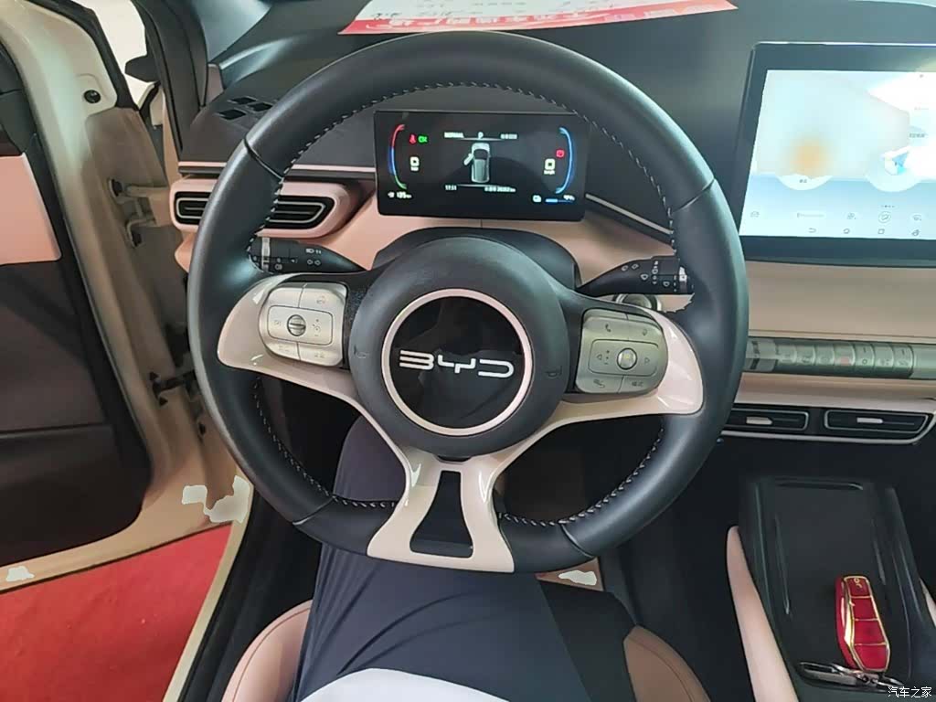 BYD Seagull, 2024 11