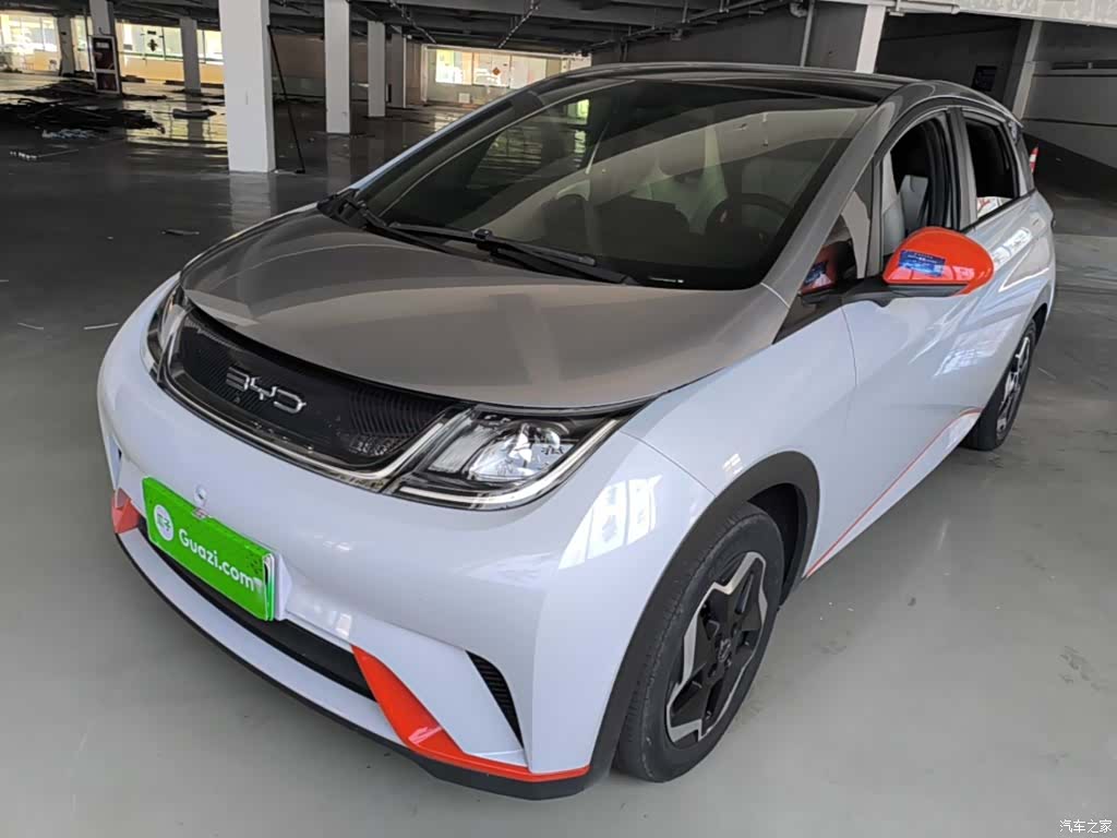 BYD Dolphin, 2021 1