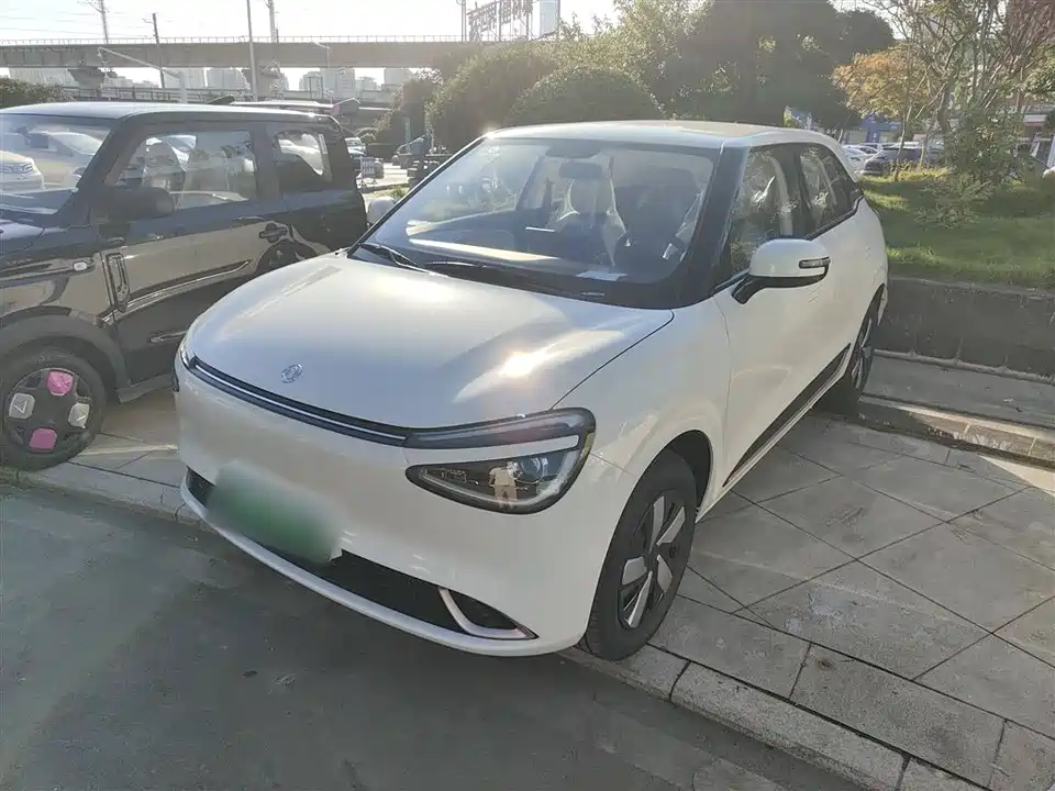 Dongfeng Nammi Nano 01