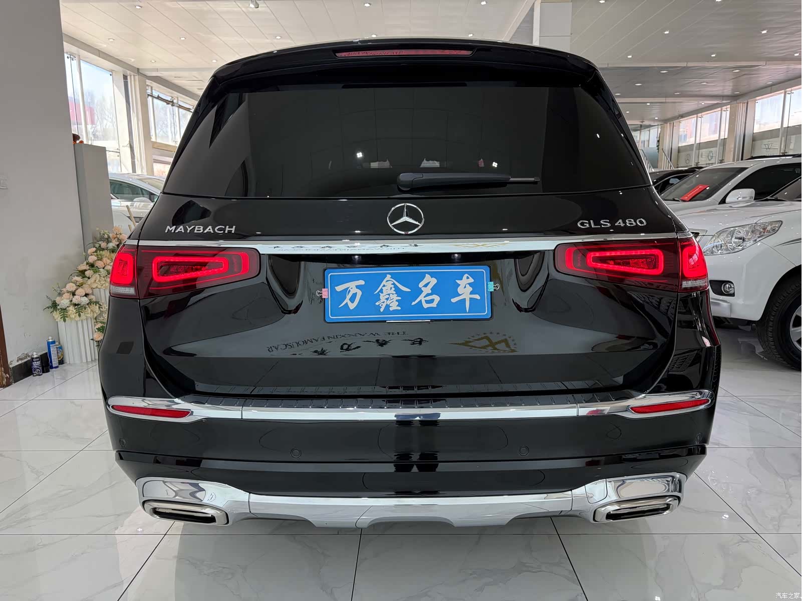 Maybach GLS, 2022 18
