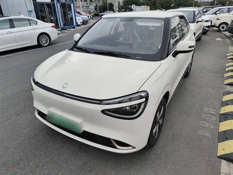 Dongfeng Nammi Nano 01