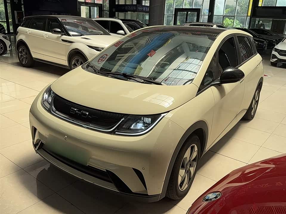 BYD dolphin