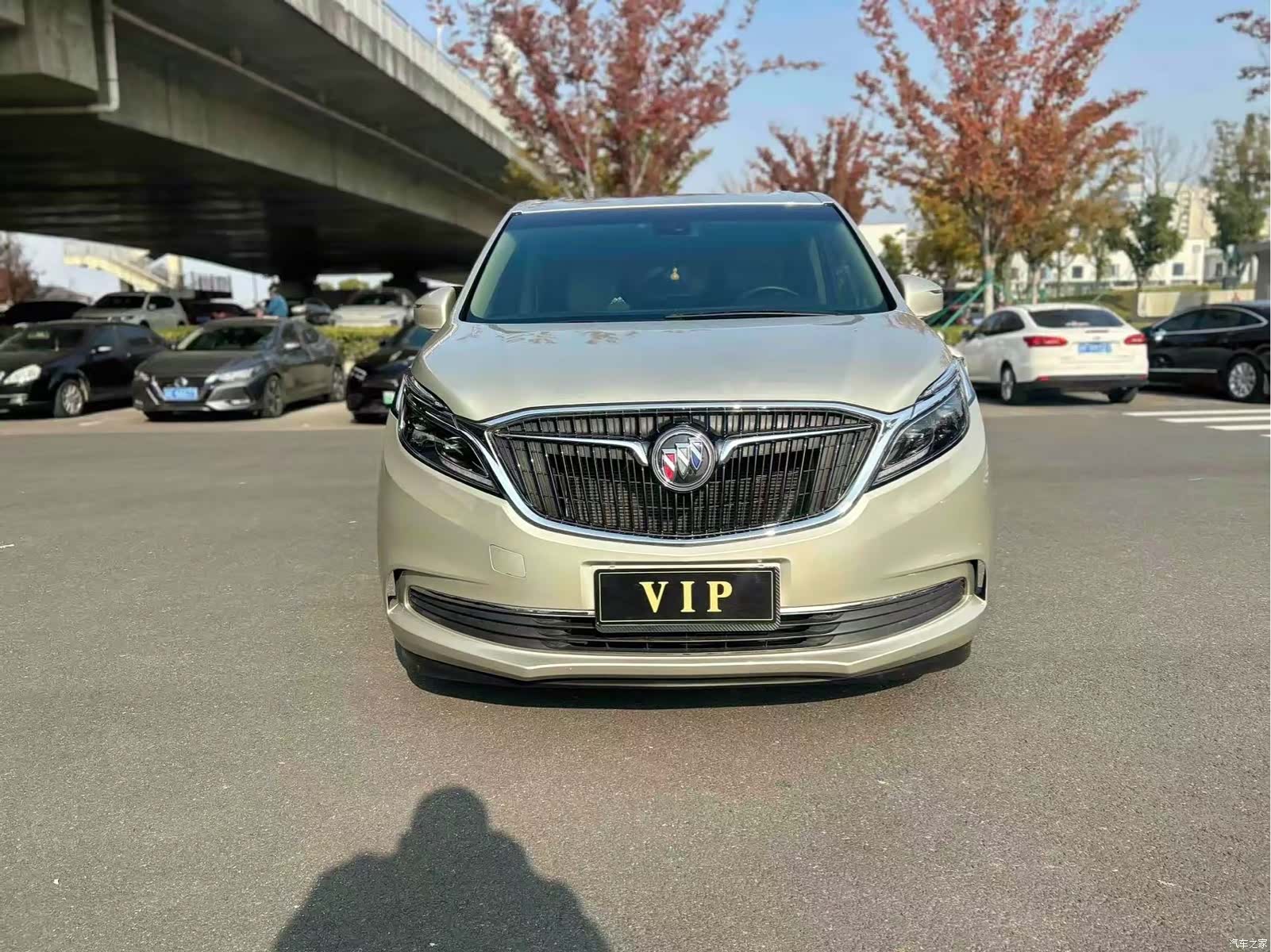 Buick GL8, 2019 3