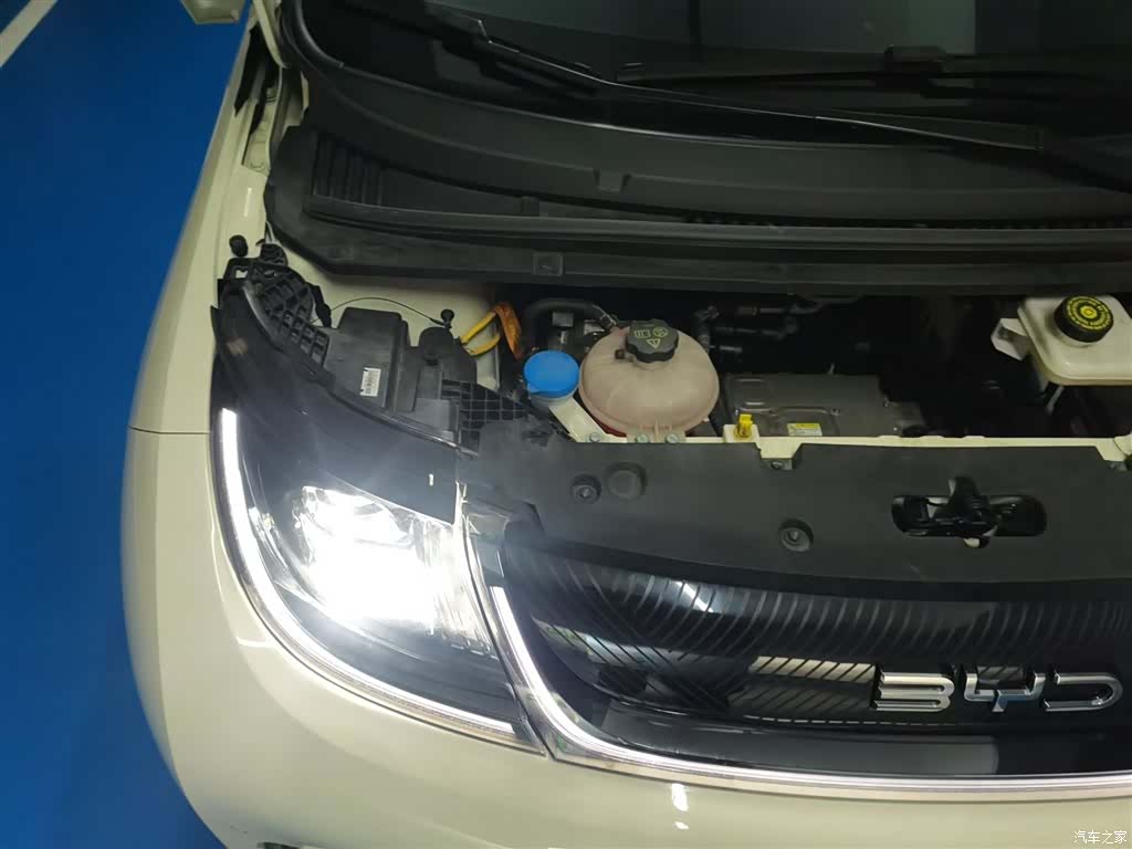 BYD Dolphin, 2024 21