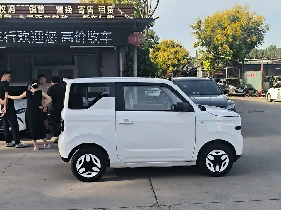 Geely Galaxy panda