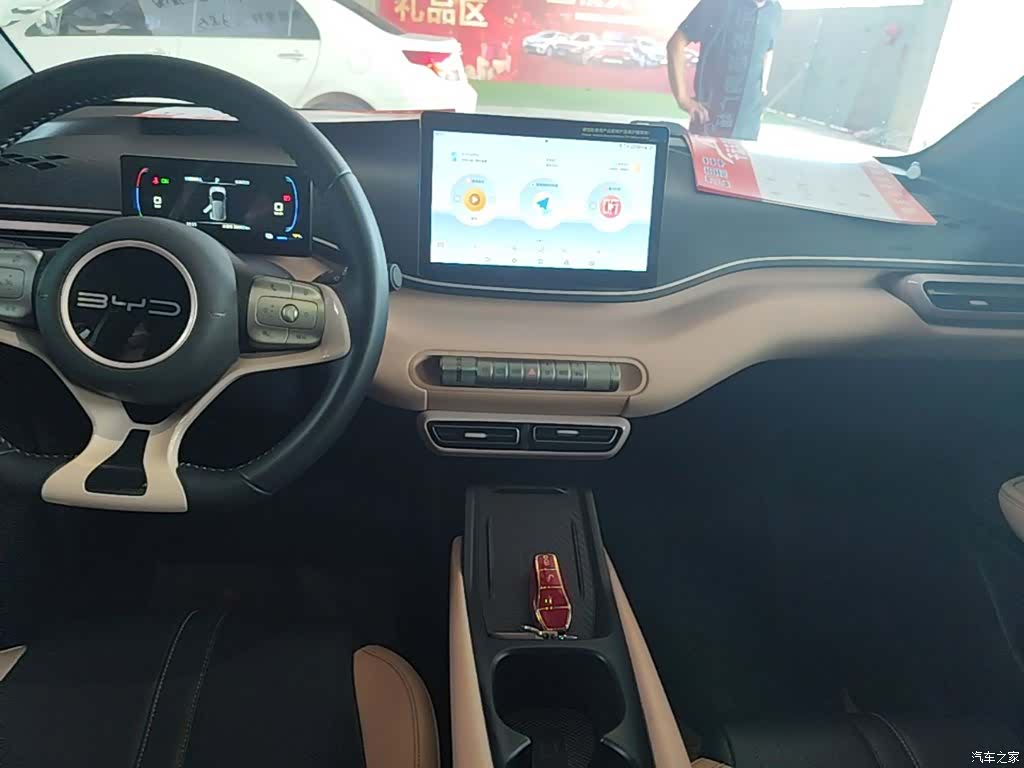 BYD Seagull, 2024 13