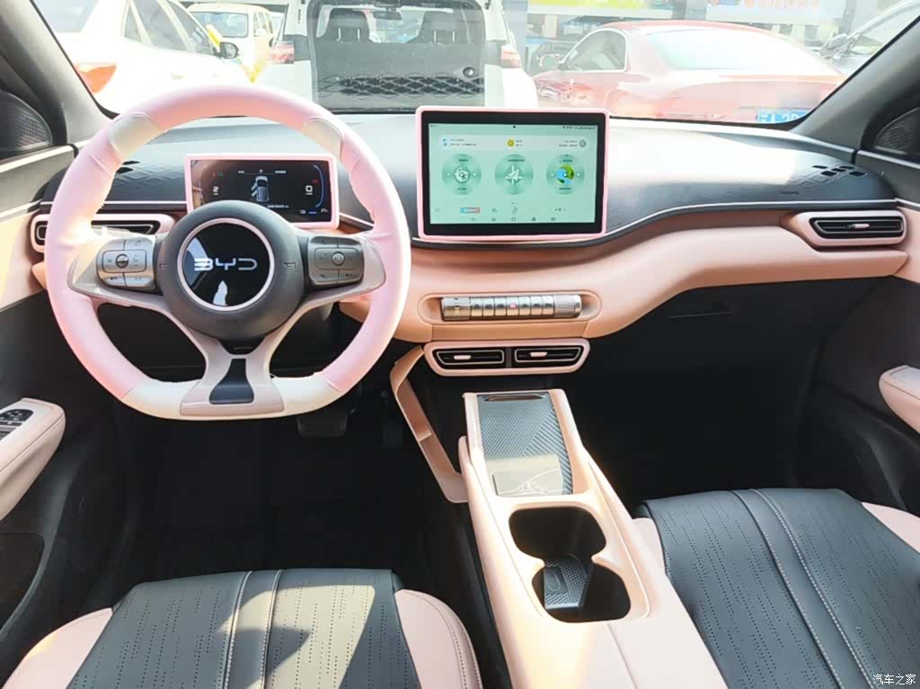 BYD Seagull, 2024 10