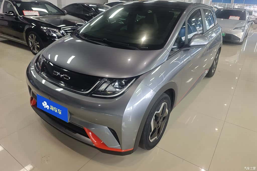 BYD Dolphin, 2022 1