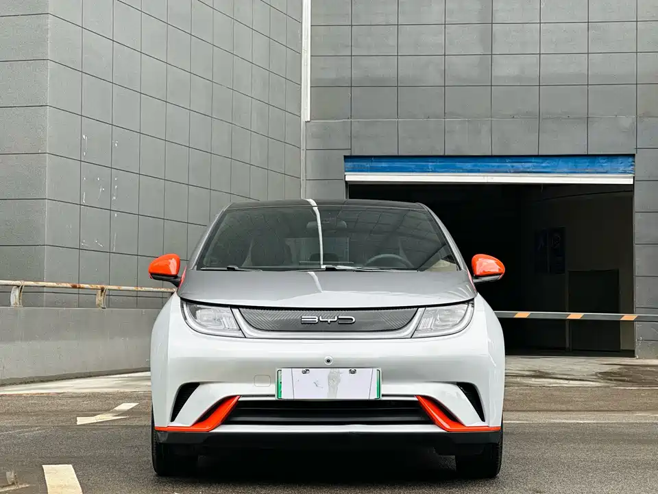 BYD dolphin