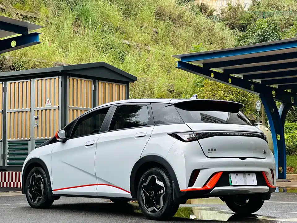 BYD dolphin