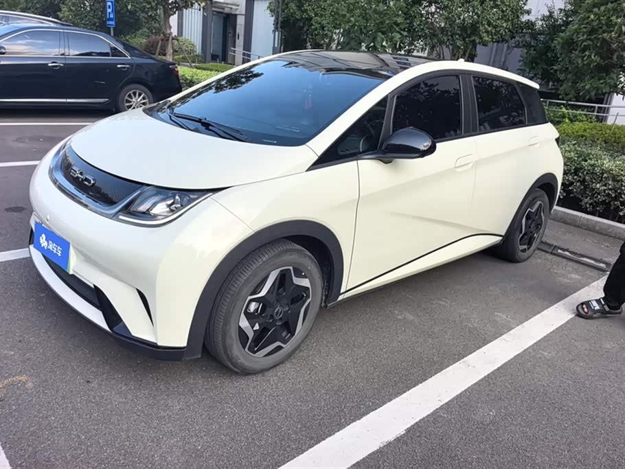 BYD dolphin