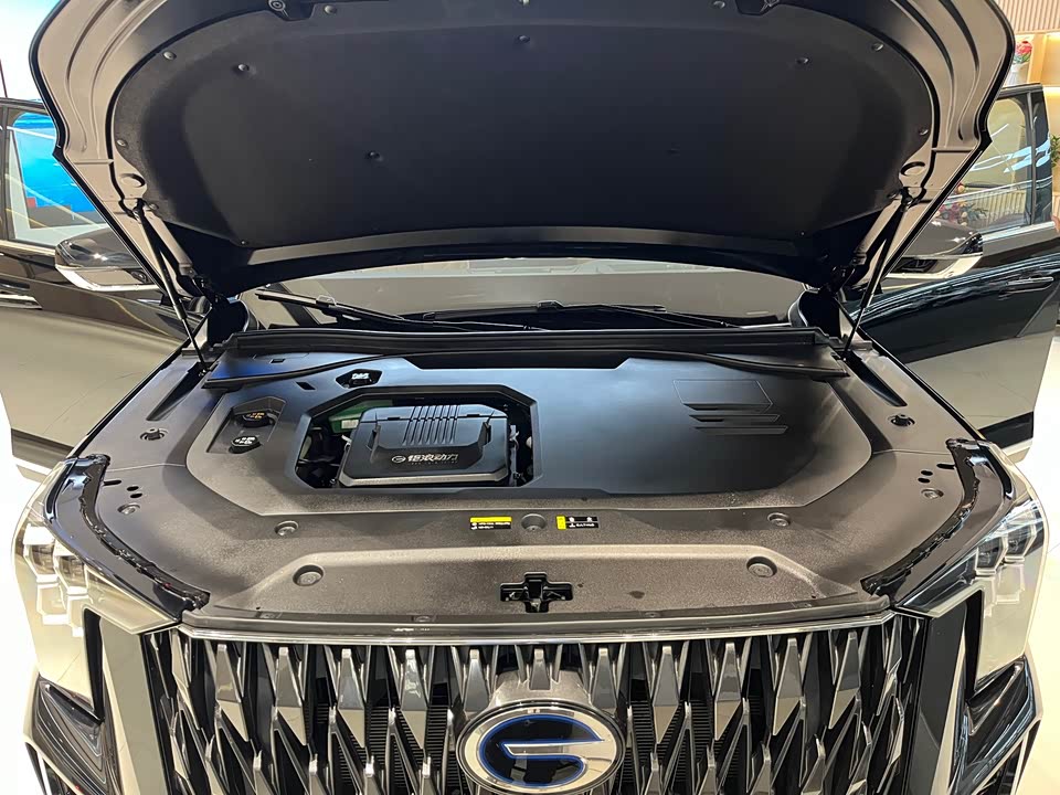 Trumpchi Trumpchi ES9