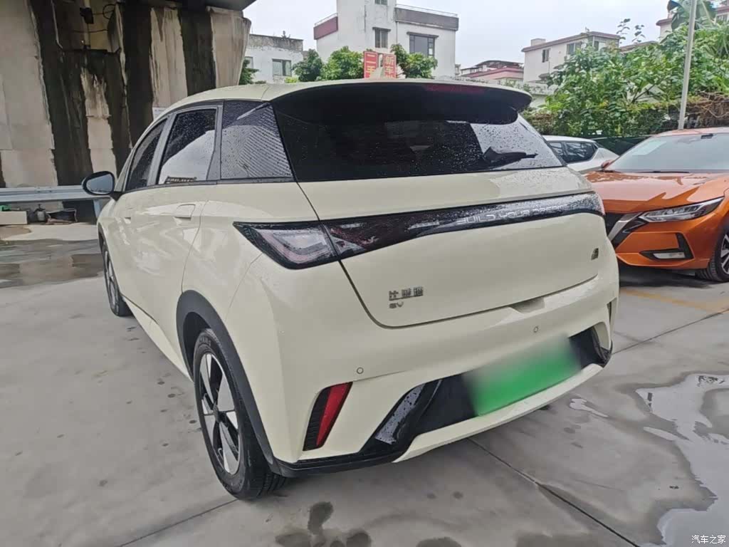 BYD Dolphin, 2023 все фото
