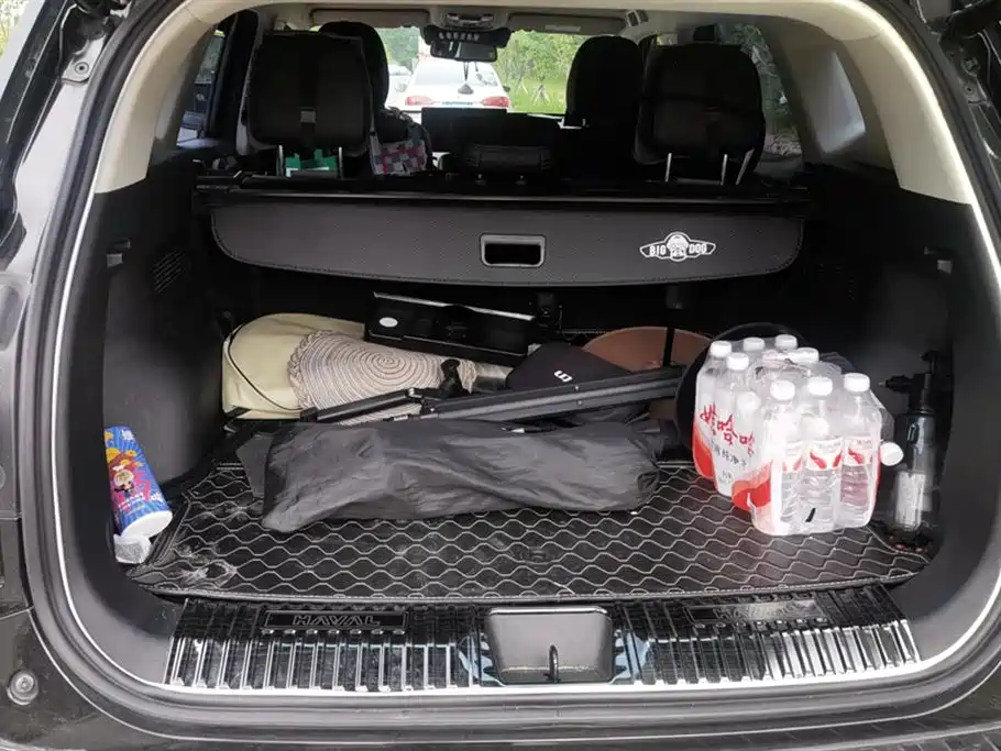 Haval Second-generation big dog