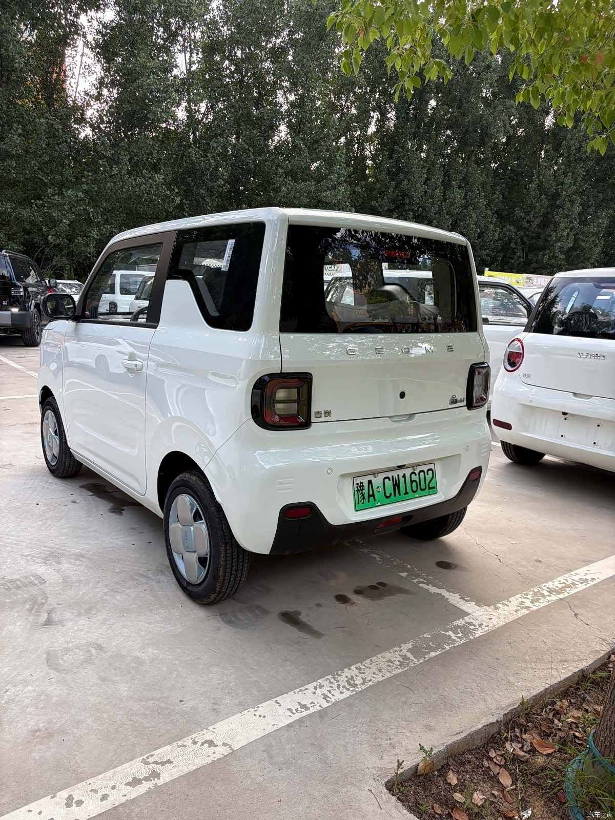 Geely Panda, 2026 7