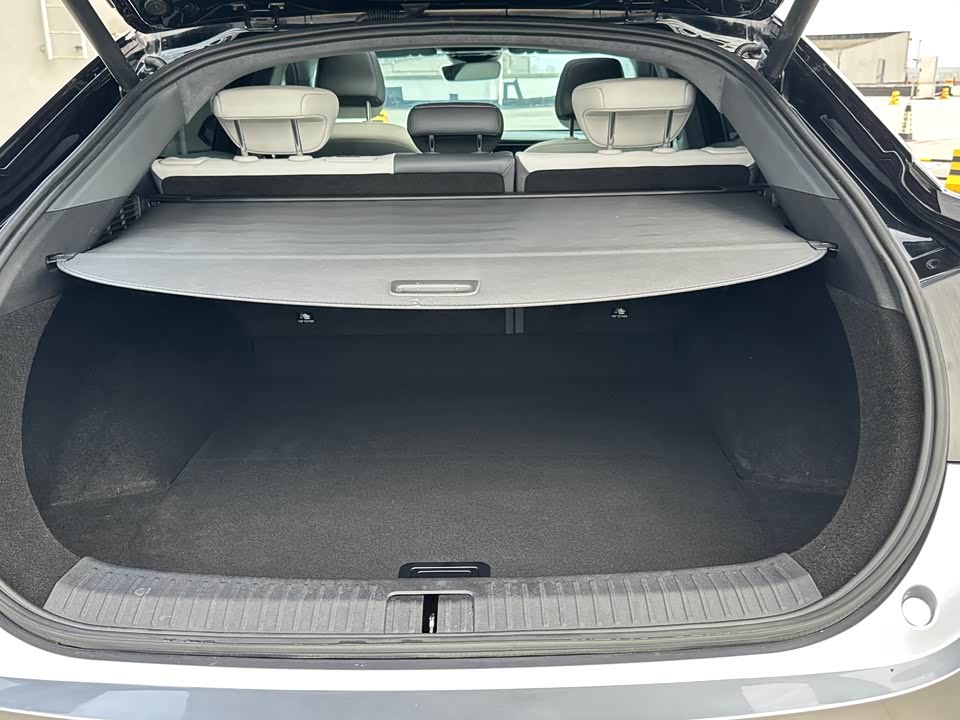 ARCFOX Polar Fox Alpha S