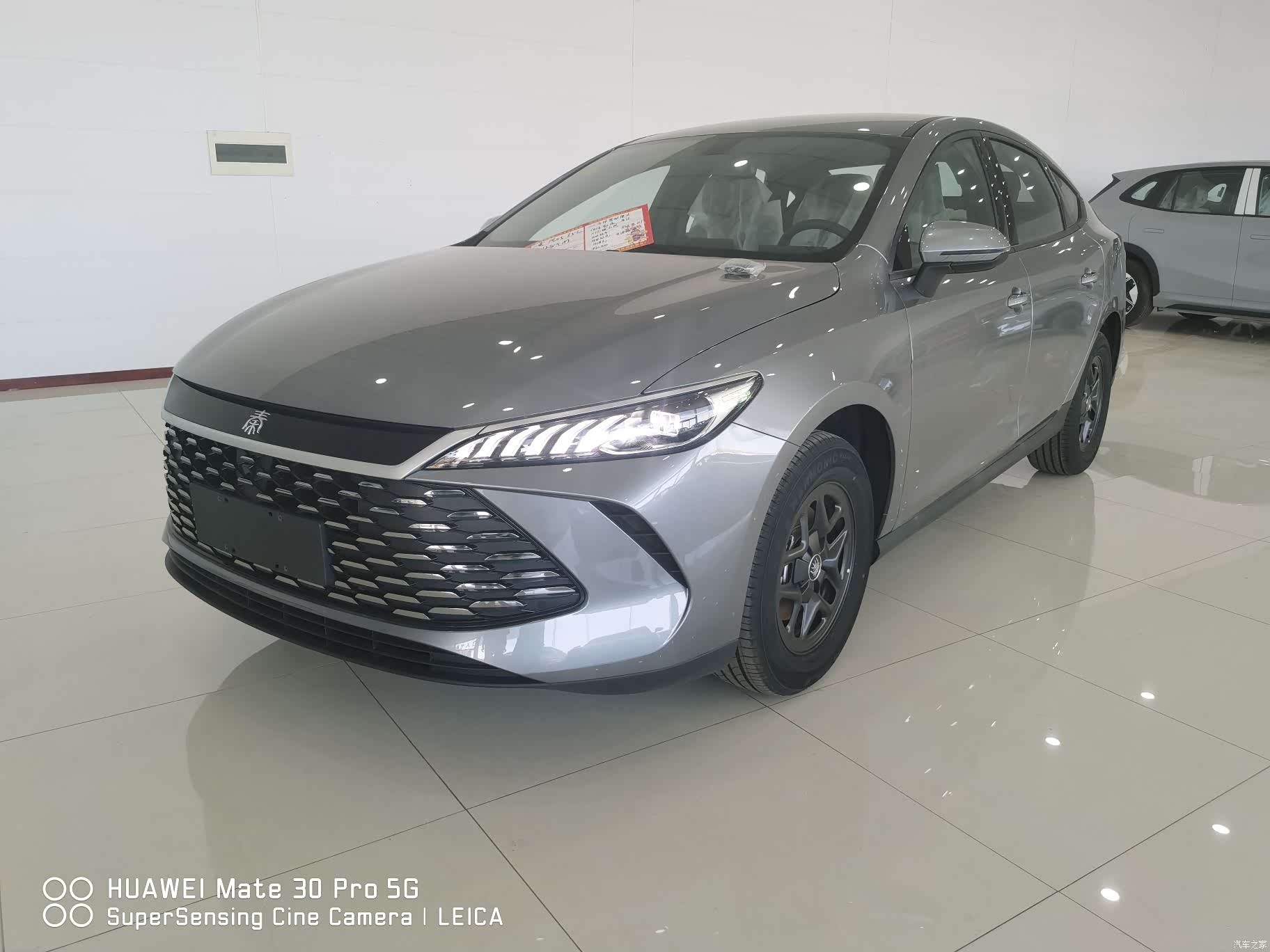 BYD Qin, 2026 1