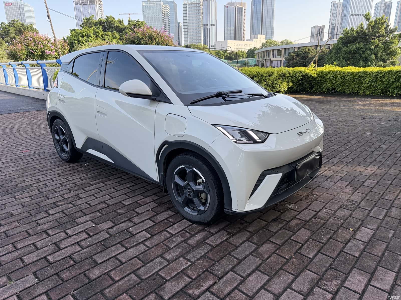 BYD Seagull, 2023 3