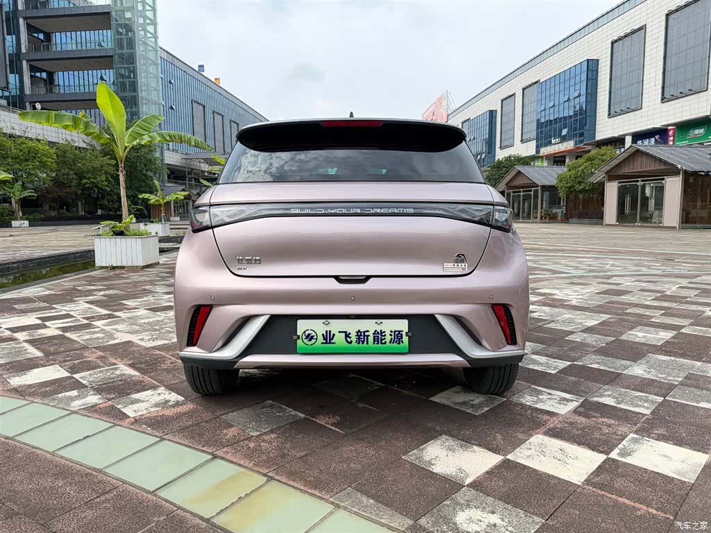 BYD Dolphin, 2022 все фото