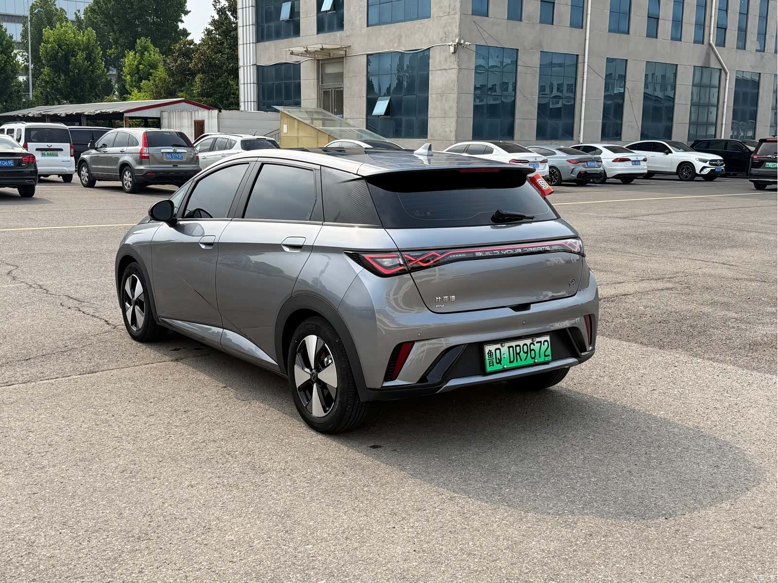 BYD Dolphin, 2024 8