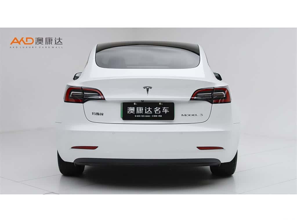 Tesla Model 3, 2021 4