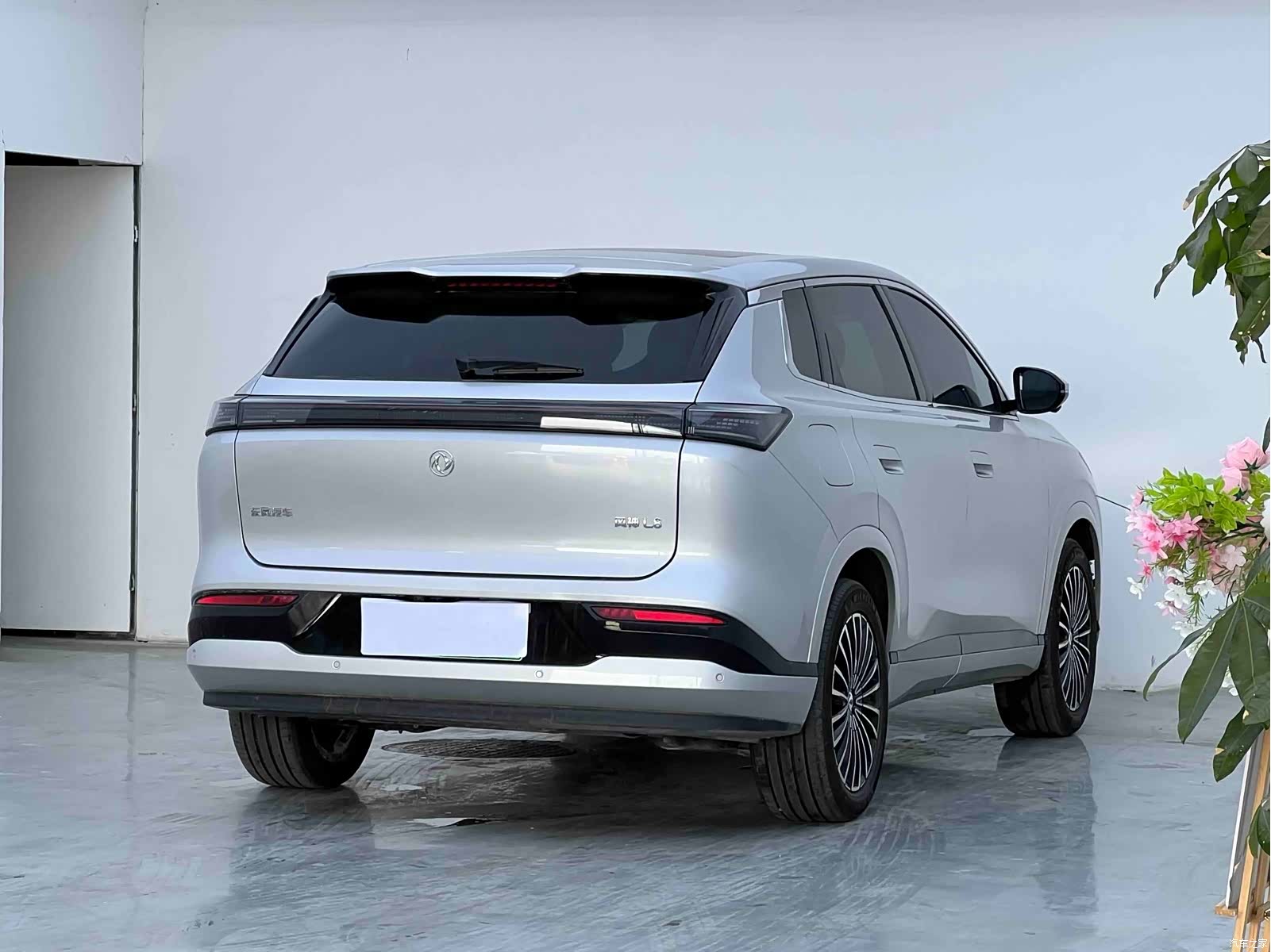 DongFeng L8, 2025 9