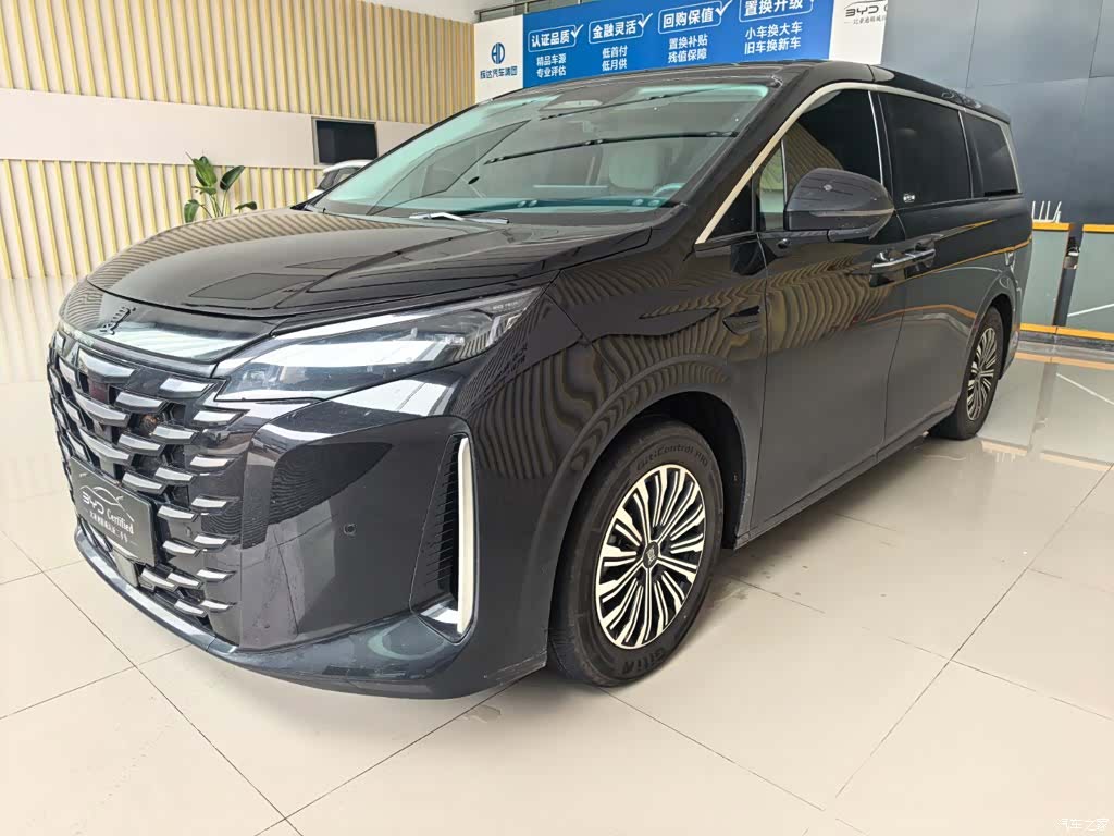 BYD Xia, 2025 1