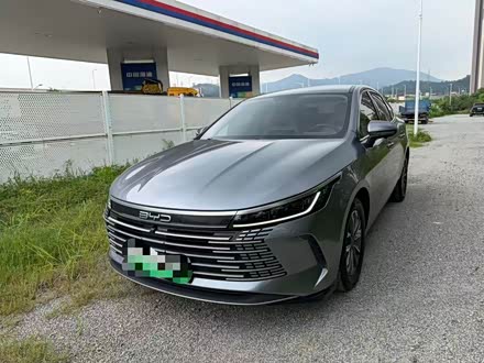 ���Ŷ��ֱ��ǵ� ����05 2024�� ��ҫ�� DM-i 55KM ������