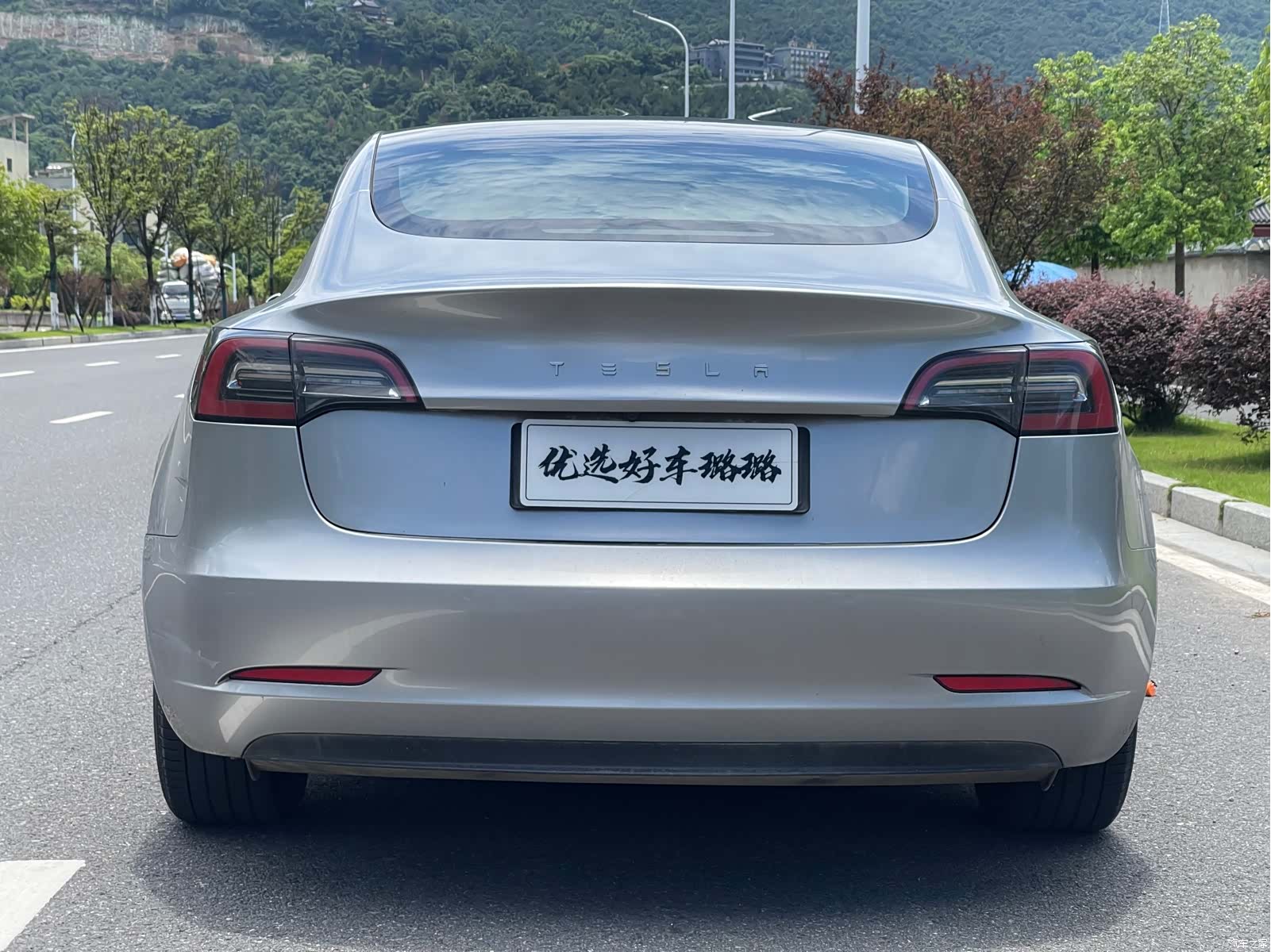 Tesla Model 3, 2021 11