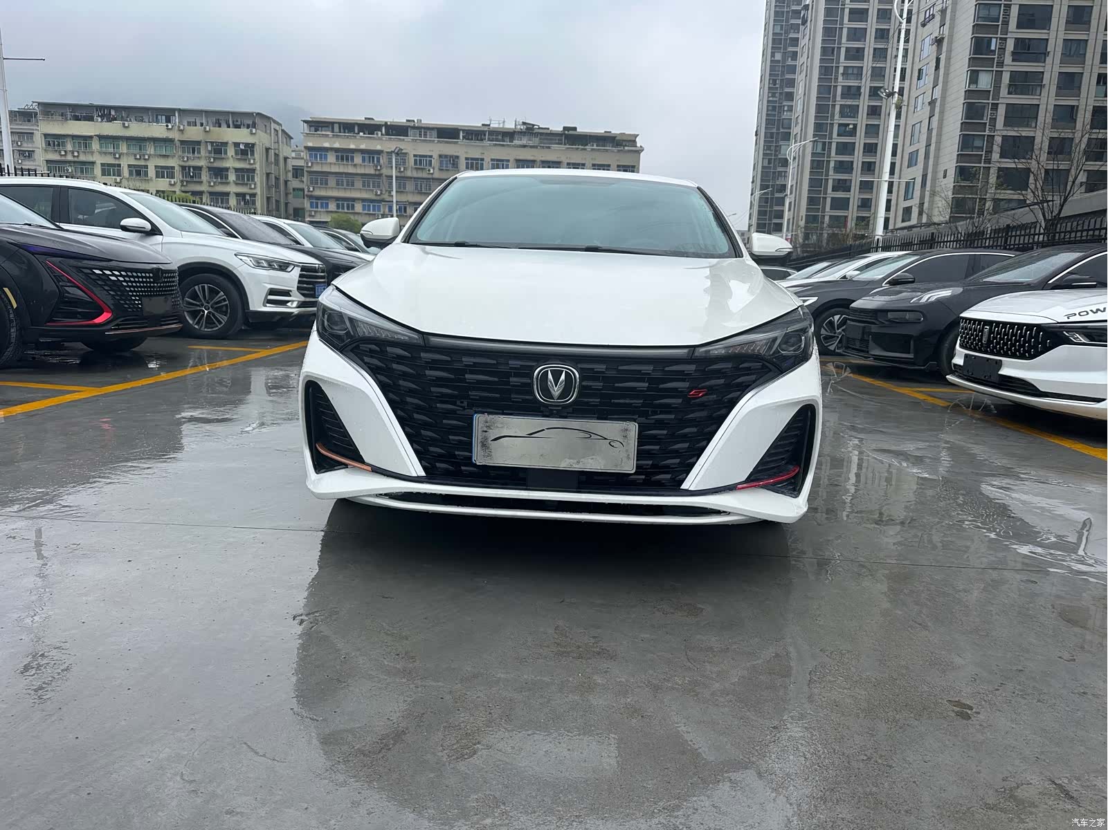 Changan Eado, 2023 2