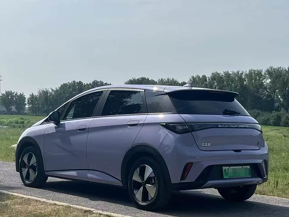 BYD dolphin