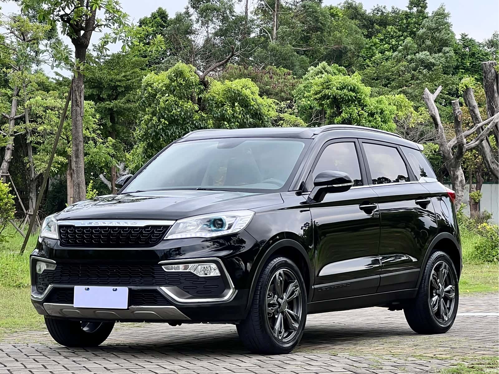 Liebao CS9, 2017 1