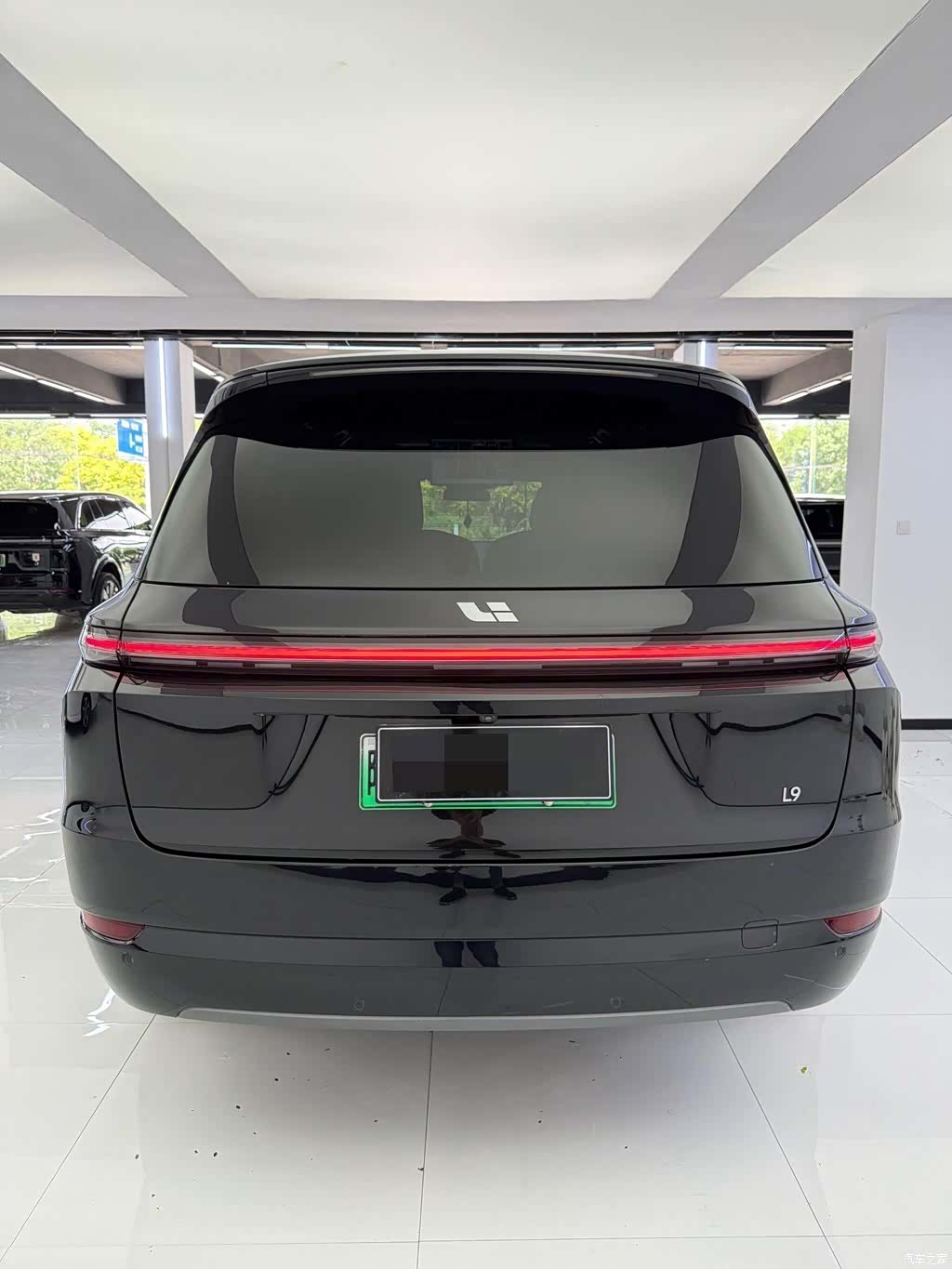 Li Auto L9, 2023 4