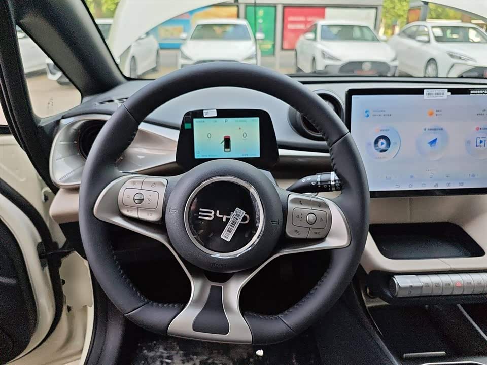 BYD dolphin