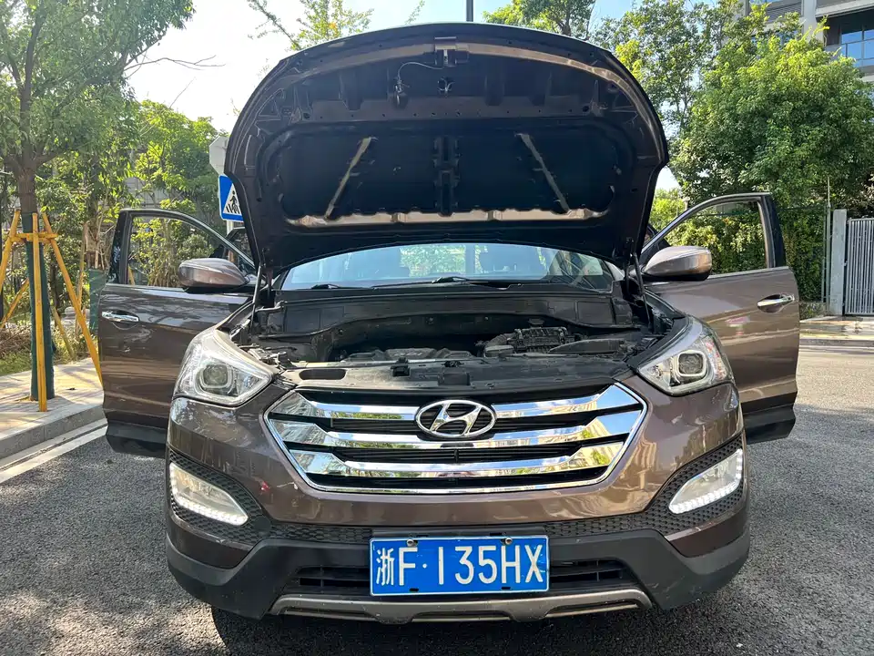 Hyundai Shengda