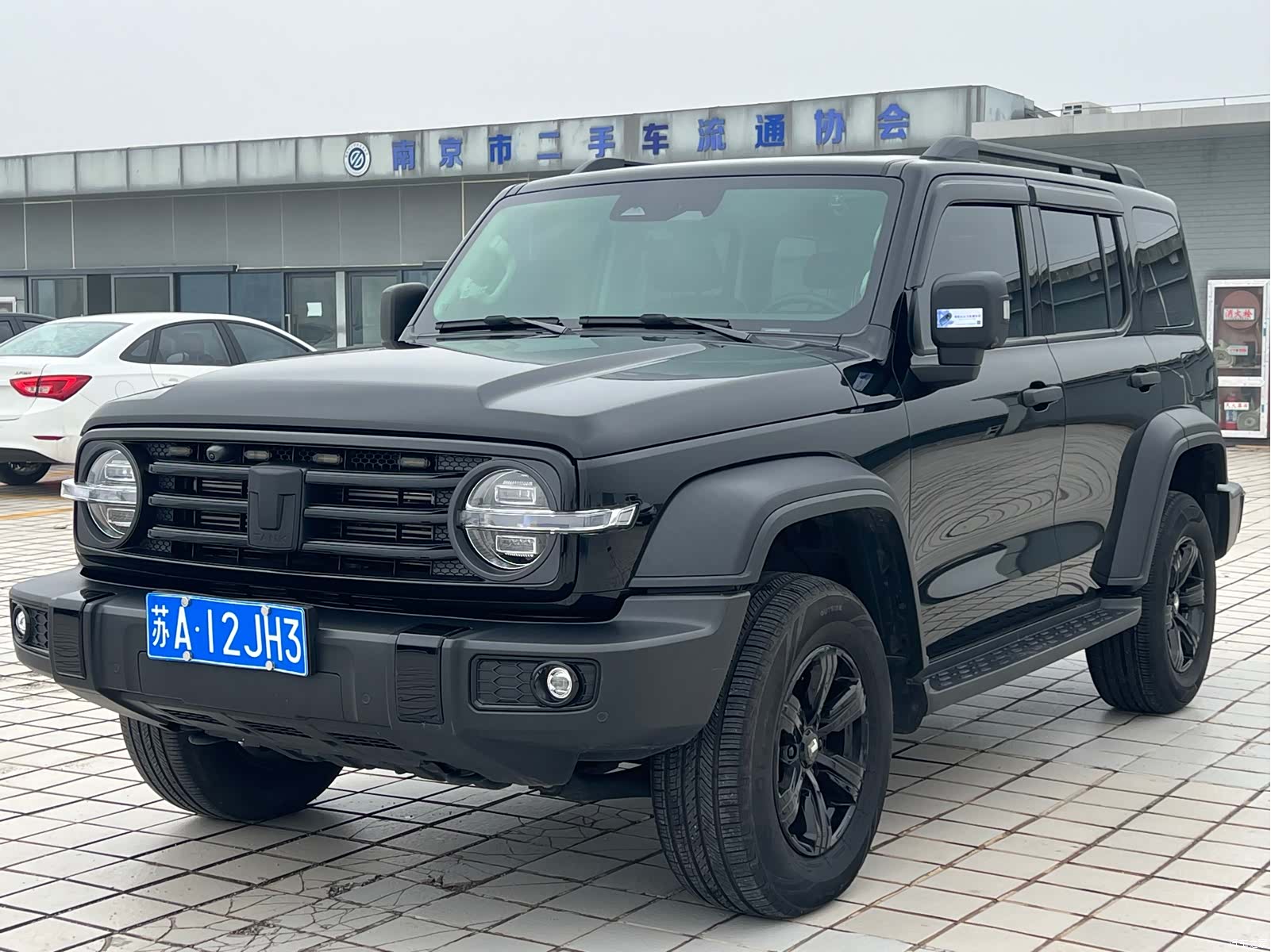 Tank 300, 2023 1
