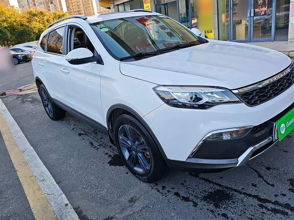 Leopaard Cheetah CS10