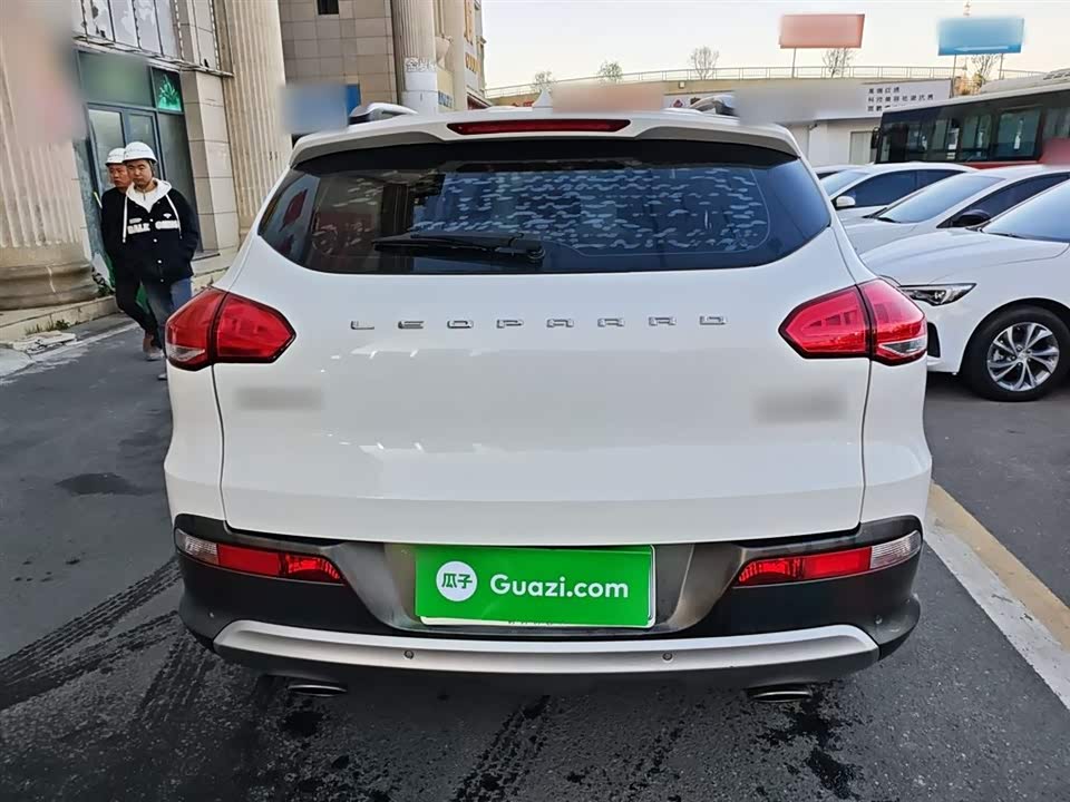 Leopaard Cheetah CS10