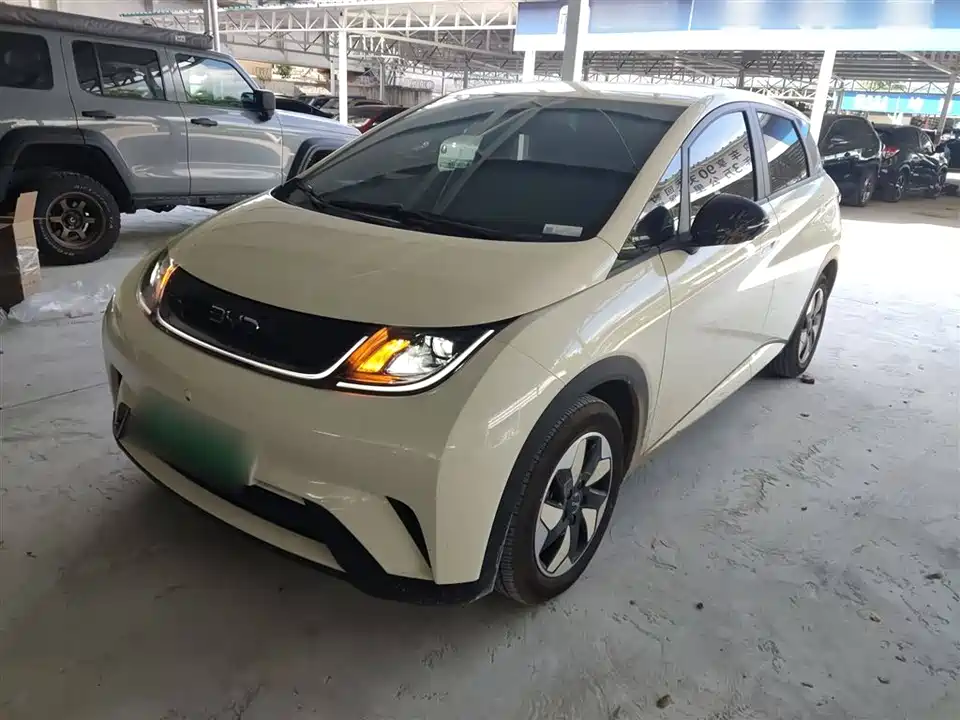 BYD dolphin