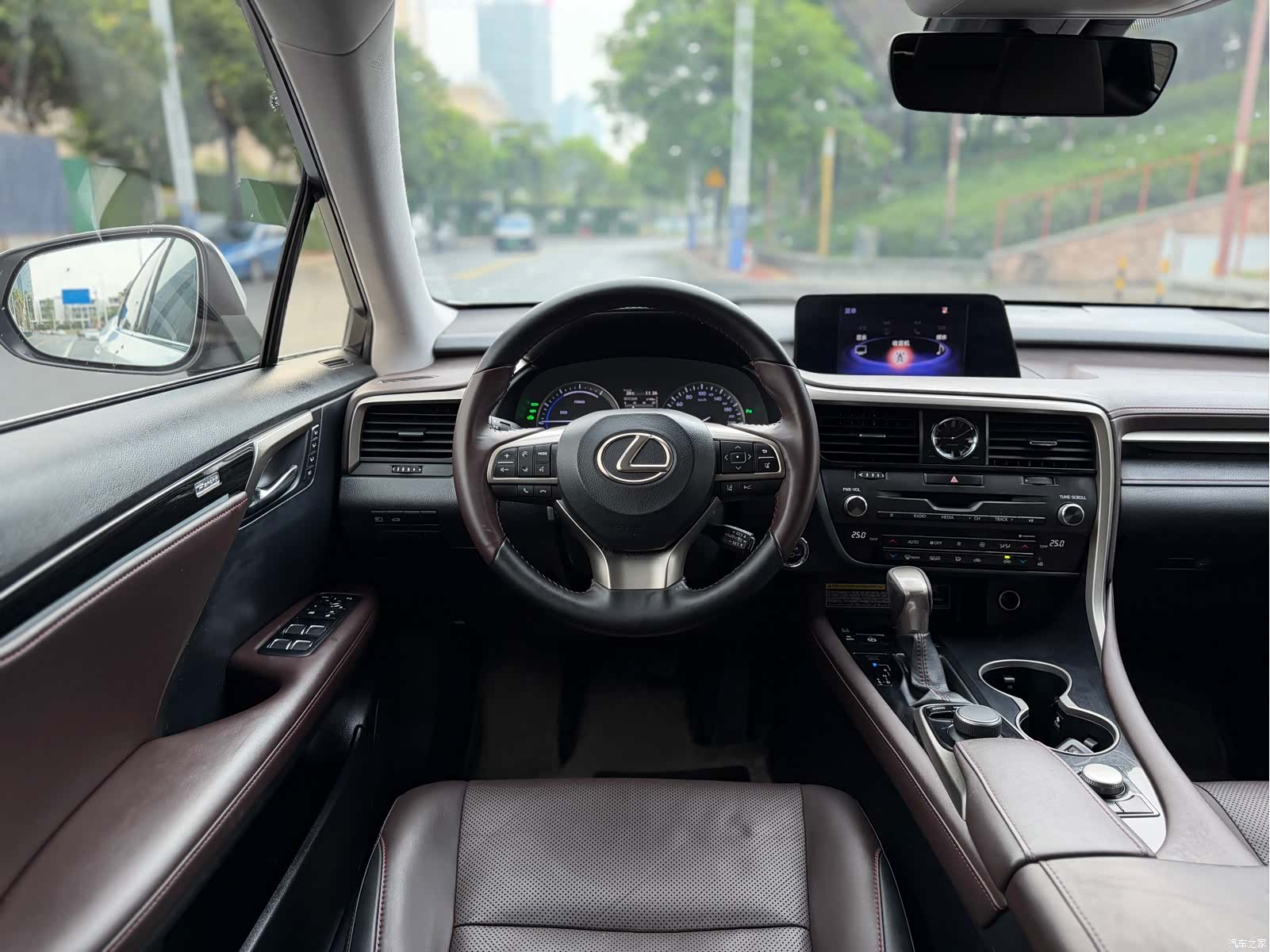 Lexus RX, 2017 14